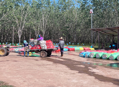 กลุ่มส่งเสริมสหกรณ์ 3 เข้าตรวจเยี่ยม แนะนำ ... พารามิเตอร์รูปภาพ 1