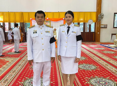กลุ่มตรวจการสหกรณ์ ... พารามิเตอร์รูปภาพ 5