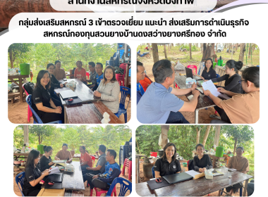 กลุ่มส่งเสริมสหกรณ์ 3 เข้าตรวจเยี่ยม แนะนำ ... พารามิเตอร์รูปภาพ 6