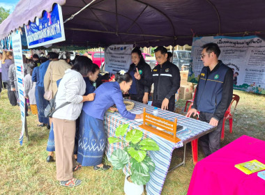 กลุ่มจัดตั้งและส่งเสริมสหกรณ์ ... พารามิเตอร์รูปภาพ 9