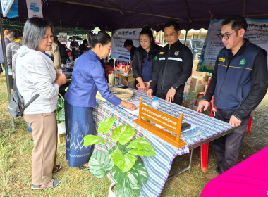 กลุ่มจัดตั้งและส่งเสริมสหกรณ์ ... พารามิเตอร์รูปภาพ 11