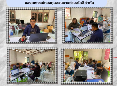 กลุ่มตรวจการสหกรณ์ ... พารามิเตอร์รูปภาพ 1