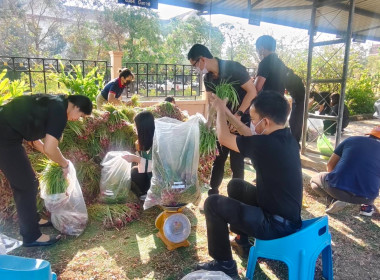 สหกรณ์จังหวัดบึงกาฬนำทีมบุคลากรในสังกัดร่วมสนับสนุนกระจายหอมแดงสดเพื่อช่วยเหลือเกษตรชาวศรีสะเกษ จำนวน 1.1 ตัน รวมมูลค่า 25,300 บาท ... พารามิเตอร์รูปภาพ 12