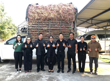 สหกรณ์จังหวัดบึงกาฬนำทีมบุคลากรในสังกัดร่วมสนับสนุนกระจายหอมแดงสดเพื่อช่วยเหลือเกษตรชาวศรีสะเกษ จำนวน 1.1 ตัน รวมมูลค่า 25,300 บาท ... พารามิเตอร์รูปภาพ 15