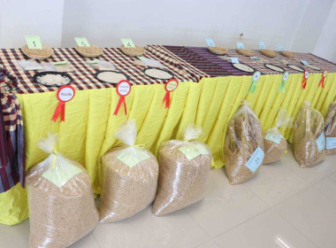 ร่วมตัดสินการประกวดข้าวหอมมะลิของประเทศไทย (ระดับจังหวัด) ... พารามิเตอร์รูปภาพ 1