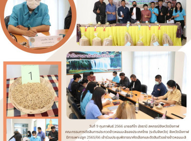 ร่วมตัดสินการประกวดข้าวหอมมะลิของประเทศไทย (ระดับจังหวัด) ... พารามิเตอร์รูปภาพ 13