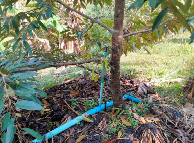 กลุ่มส่งเสริมและพัฒนาธุรกิจสหกรณ์ ... พารามิเตอร์รูปภาพ 10