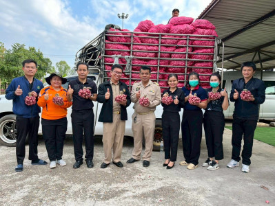 สหกรณ์จังหวัดบึงกาฬนำทีมบุคลากรในสังกัดร่วมสนับสนุนกระจายหอมแดงมัดจุก 3.5 ตัน รวมมูลค่า 129,500 บาท เพื่อช่วยเหลือเกษตรชาวศรีสะเกษ ... พารามิเตอร์รูปภาพ 1