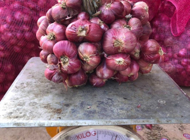 สหกรณ์จังหวัดบึงกาฬนำทีมบุคลากรในสังกัดร่วมสนับสนุนกระจายหอมแดงมัดจุก 3.5 ตัน รวมมูลค่า 129,500 บาท เพื่อช่วยเหลือเกษตรชาวศรีสะเกษ ... พารามิเตอร์รูปภาพ 3