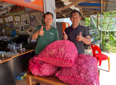 สหกรณ์จังหวัดบึงกาฬนำทีมบุคลากรในสังกัดร่วมสนับสนุนกระจายหอมแดงมัดจุก 3.5 ตัน รวมมูลค่า 129,500 บาท เพื่อช่วยเหลือเกษตรชาวศรีสะเกษ ... พารามิเตอร์รูปภาพ 10