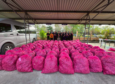 สหกรณ์จังหวัดบึงกาฬนำทีมบุคลากรในสังกัดร่วมสนับสนุนกระจายหอมแดงมัดจุก 3.5 ตัน รวมมูลค่า 129,500 บาท เพื่อช่วยเหลือเกษตรชาวศรีสะเกษ ... พารามิเตอร์รูปภาพ 15