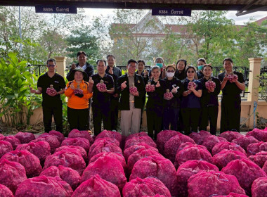 สหกรณ์จังหวัดบึงกาฬนำทีมบุคลากรในสังกัดร่วมสนับสนุนกระจายหอมแดงมัดจุก 3.5 ตัน รวมมูลค่า 129,500 บาท เพื่อช่วยเหลือเกษตรชาวศรีสะเกษ ... พารามิเตอร์รูปภาพ 16