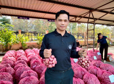 สหกรณ์จังหวัดบึงกาฬนำทีมบุคลากรในสังกัดร่วมสนับสนุนกระจายหอมแดงมัดจุก 3.5 ตัน รวมมูลค่า 129,500 บาท เพื่อช่วยเหลือเกษตรชาวศรีสะเกษ ... พารามิเตอร์รูปภาพ 20