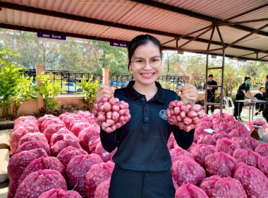 สหกรณ์จังหวัดบึงกาฬนำทีมบุคลากรในสังกัดร่วมสนับสนุนกระจายหอมแดงมัดจุก 3.5 ตัน รวมมูลค่า 129,500 บาท เพื่อช่วยเหลือเกษตรชาวศรีสะเกษ ... พารามิเตอร์รูปภาพ 21