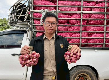 สหกรณ์จังหวัดบึงกาฬนำทีมบุคลากรในสังกัดร่วมสนับสนุนกระจายหอมแดงมัดจุก 3.5 ตัน รวมมูลค่า 129,500 บาท เพื่อช่วยเหลือเกษตรชาวศรีสะเกษ ... พารามิเตอร์รูปภาพ 24