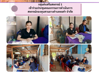 กลุ่มส่งเสริมสหกรณ์ 1 ... พารามิเตอร์รูปภาพ 1