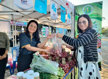 สหกรณ์จังหวัดบึงกาฬ ... พารามิเตอร์รูปภาพ 6