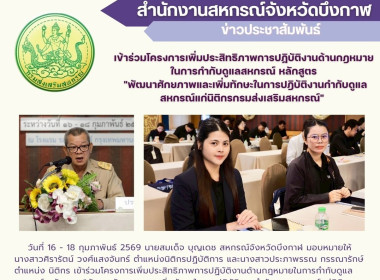 กลุ่มตรวจการสหกรณ์ ... พารามิเตอร์รูปภาพ 1