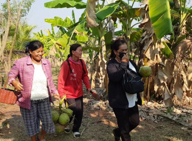 ตรวจสอบกิจการและฐานะทางการเงินของสหกรณ์การเกษตรกองทุนสวนยางตำบลท่ากกแดง จำกัด ... พารามิเตอร์รูปภาพ 6