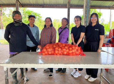 สหกรณ์จังหวัดบึงกาฬนำทีมบุคลากรในสังกัดร่วมสนับสนุนกระจายหอมหัวใหญ่ 1 ตัน เพื่อช่วยเหลือเกษตรกรชาวเชียงใหม่ ตามแคมเปญ "รักนะจึงให้หอม(หอมหัวใหญ่) เชียงใหม่เน้อจ้าว" ... พารามิเตอร์รูปภาพ 8