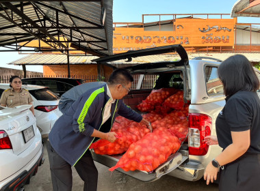 สหกรณ์จังหวัดบึงกาฬนำทีมบุคลากรในสังกัดร่วมสนับสนุนกระจายหอมหัวใหญ่ 1 ตัน เพื่อช่วยเหลือเกษตรกรชาวเชียงใหม่ ตามแคมเปญ "รักนะจึงให้หอม(หอมหัวใหญ่) เชียงใหม่เน้อจ้าว" ... พารามิเตอร์รูปภาพ 11