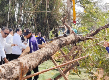 สหกรณ์จังหวัดบึงกาฬ ร่วมพิธีพลีกรรมตัดไม้มงคล “ราชพฤกษ์” ... พารามิเตอร์รูปภาพ 4