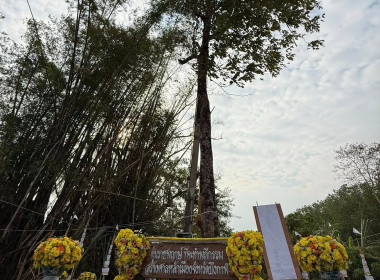 สหกรณ์จังหวัดบึงกาฬ ร่วมพิธีพลีกรรมตัดไม้มงคล “ราชพฤกษ์” ... พารามิเตอร์รูปภาพ 9