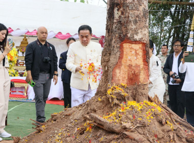 สหกรณ์จังหวัดบึงกาฬ ร่วมพิธีพลีกรรมตัดไม้มงคล “ราชพฤกษ์” ... พารามิเตอร์รูปภาพ 41