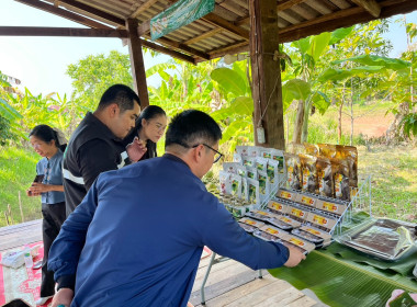 กลุ่มส่งเสริมและพัฒนาธุรกิจสหกรณ์ ... พารามิเตอร์รูปภาพ 6