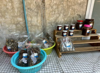 กลุ่มส่งเสริมและพัฒนาธุรกิจสหกรณ์ ... พารามิเตอร์รูปภาพ 21