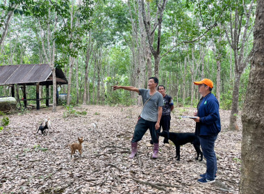 กลุ่มส่งเสริมและพัฒนาธุรกิจสหกรณ์ ... พารามิเตอร์รูปภาพ 7