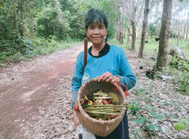 กลุ่มส่งเสริมและพัฒนาธุรกิจสหกรณ์ ... พารามิเตอร์รูปภาพ 12