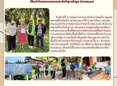 กลุ่มส่งเสริมและพัฒนาธุรกิจสหกรณ์ ... พารามิเตอร์รูปภาพ 11