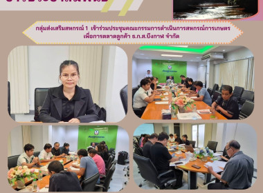 กลุ่มส่งเสริมสหกรณ์ 1 ... พารามิเตอร์รูปภาพ 1