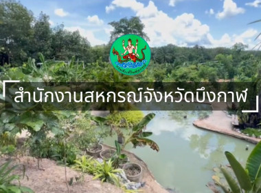 สหกรณ์จังหวัดบึงกาฬและกลุ่มจัดตั้งและส่งเสริมสหกรณ์ ... พารามิเตอร์รูปภาพ 3