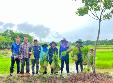 กลุ่มส่งเสริมและพัฒนาธุรกิจสหกรณ์ ... พารามิเตอร์รูปภาพ 5