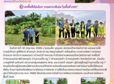 กลุ่มส่งเสริมและพัฒนาธุรกิจสหกรณ์ ... พารามิเตอร์รูปภาพ 14