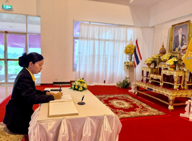 ฝ่ายบริหารทั่วไป ... พารามิเตอร์รูปภาพ 7