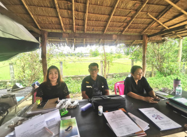 คณะผู้ตรวจการสหกรณ์ (เฉพาะกิจ) ... พารามิเตอร์รูปภาพ 2