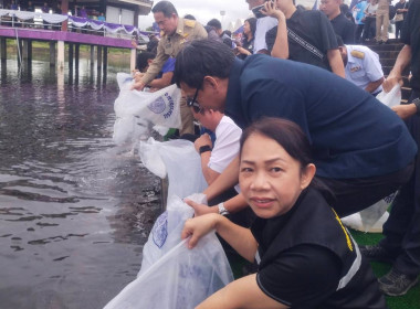 กลุ่มส่งเสริมสหกรณ์ 3 ร่วมกิจกรรมปล่อยพันธุ์สัตว์น้ำ ... พารามิเตอร์รูปภาพ 3