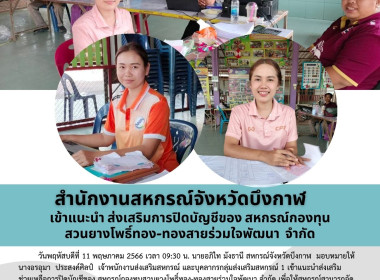 แนะนำ ส่งเสริมการปิดบัญชีของ ... พารามิเตอร์รูปภาพ 4