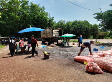 แนะนำส่งเสริมการปิดบัญชี ... พารามิเตอร์รูปภาพ 4