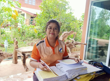 ติดตามเร่งรัดหนี้ ... พารามิเตอร์รูปภาพ 1