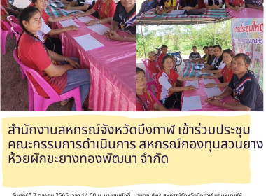ประชุมคณะกรรมการดำเนินการ ... พารามิเตอร์รูปภาพ 3