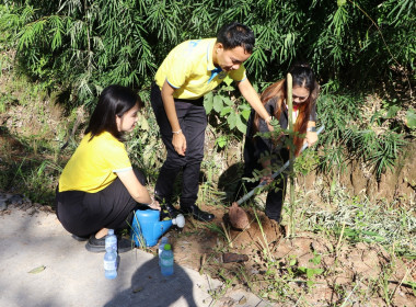 ร่วมกิจกรรม ปลูกต้นไม้มีดอกสวยงาม เพื่อเพิ่มพื้นที่สีเขียว ... พารามิเตอร์รูปภาพ 1