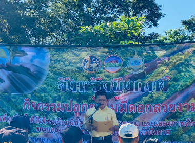 ร่วมกิจกรรม ปลูกต้นไม้มีดอกสวยงาม เพื่อเพิ่มพื้นที่สีเขียว ... พารามิเตอร์รูปภาพ 2