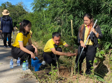 ร่วมกิจกรรม ปลูกต้นไม้มีดอกสวยงาม เพื่อเพิ่มพื้นที่สีเขียว ... พารามิเตอร์รูปภาพ 3