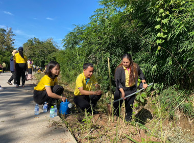 ร่วมกิจกรรม ปลูกต้นไม้มีดอกสวยงาม เพื่อเพิ่มพื้นที่สีเขียว ... พารามิเตอร์รูปภาพ 4