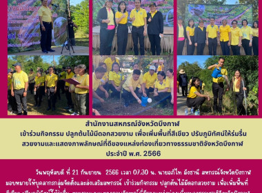 ร่วมกิจกรรม ปลูกต้นไม้มีดอกสวยงาม เพื่อเพิ่มพื้นที่สีเขียว ... พารามิเตอร์รูปภาพ 5